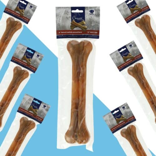 5 יחידות כנען עצם דחוסה 12 אינץ מעור בקר 30 ס"מ