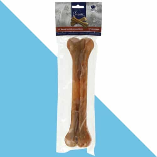 כנען עצם דחוסה 12 אינץ מעור בקר 30 ס"מ