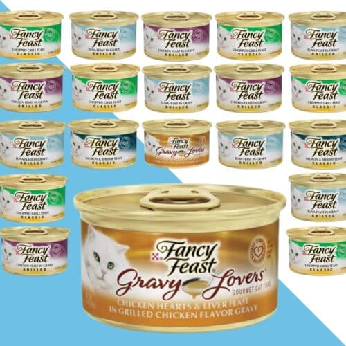 24 יח' פנסי פיסט לחתול במגוון טעמים