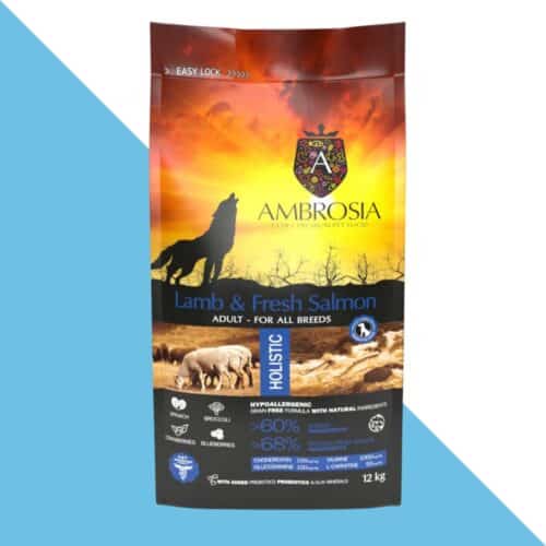 אמברוסיה כבש וסלמון היפואלרגני ללא דגנים לכלב בוגר 12 קג