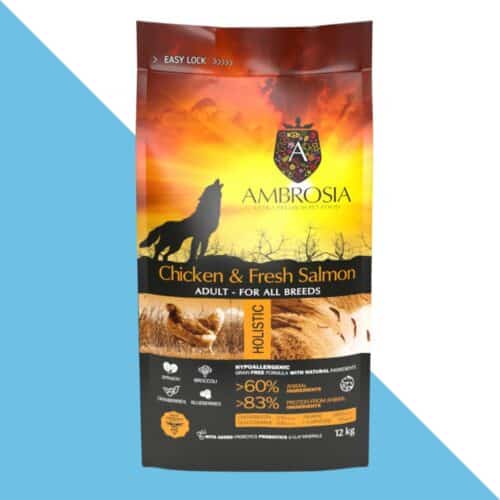 אמברוסיה עוף וסלמון היפואלרגני ללא דגנים לכלב בוגר 12 קג