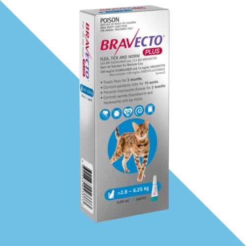 ברבקטו אמפולה ספוט-און פלוס 250 מ”ג לחתול 2.8-6.25 ק"ג