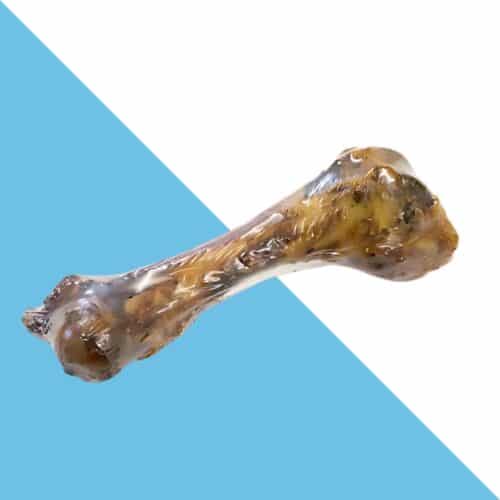 עצם חזיר שלמה ומיובשת כ- 20-25 ס"מ