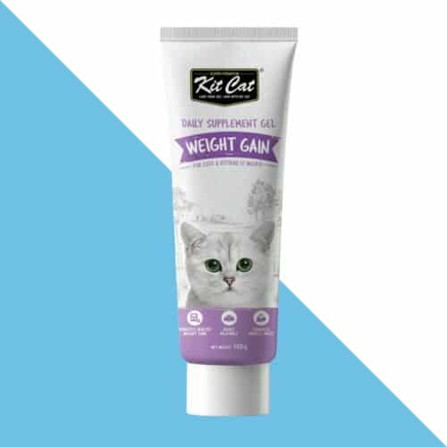 קיט קט דיילי תוסף תזונה לחתולים לתמיכה בעלייה במשקל 120 גרם
