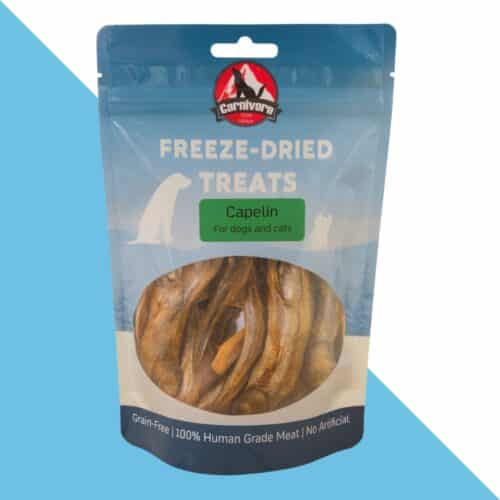 קרניבור חטיף טבעי מיובש בהקפאה- דג טרוטנית 40 גרם