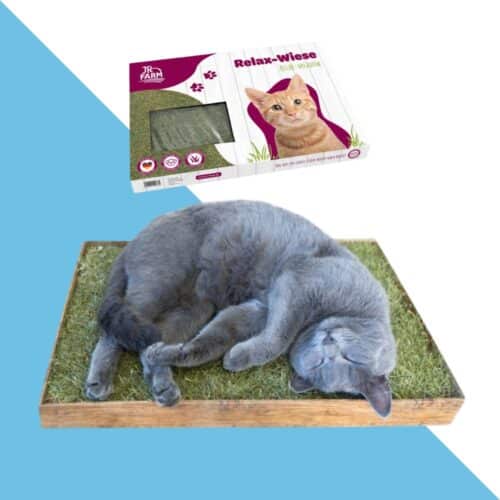 פינת דשא טבעי מרגיעה לחתול 55/37 ס"מ JR FARM