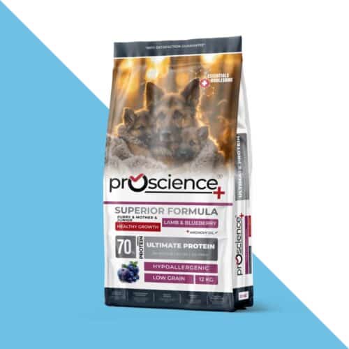 פרו סיינס כבש ואוכמניות מזון היפואלרגני לגורים 12 ק"ג Pro science