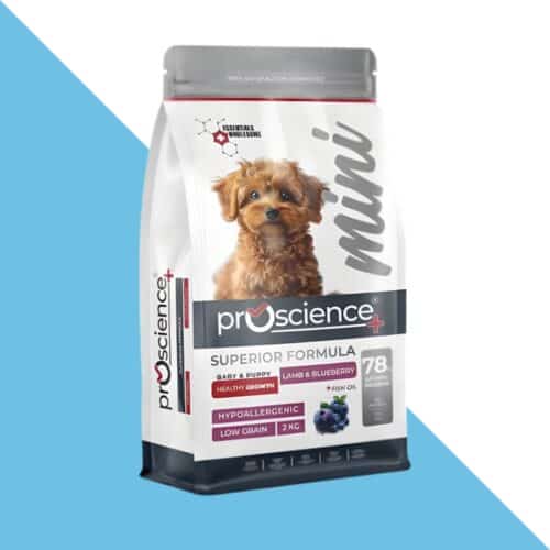 פרו סיינס כבש ואוכמניות מזון היפואלרגני לגורים קטנים 7 ק"ג Pro science