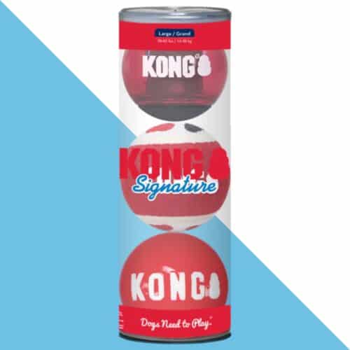 קונג כדור L סיגנאצור 3 יחידות KONG