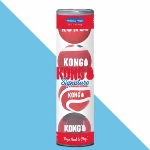 קונג כדור M סיגנאצור 4 יחידות KONG