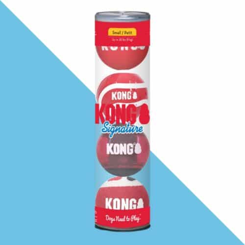 קונג כדור S סיגנאצור 4 יחידות KONG