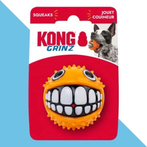 קונג כדור גרינז עמיד לכלב- קטן KONG