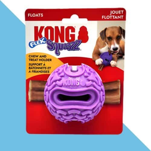 קונג כדור סקוויז לבולי סטייק KONG