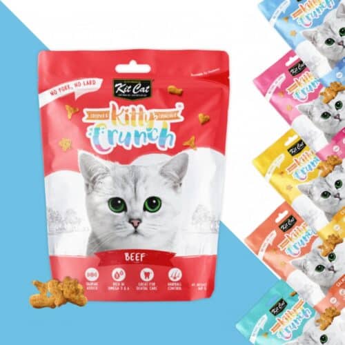 10 חטיפי קיט קט קראנץ' – במגוון טעמים 60 גרם Kit Cat