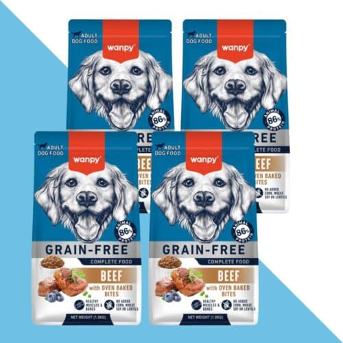 4 שקי וונפי בקר 1.5 ק"ג לכלב בוגר מכל גזע ללא דגנים | 6 ק"ג Wanpy