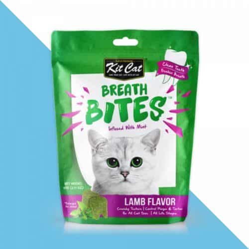 קיט קט חטיף דנטלי - כבש 60 גרם Kit Cat