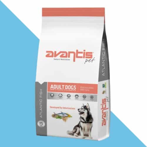 אוונטיס גורמה דגים היפואלרגני לכלב בוגר 15 ק"ג - avantis