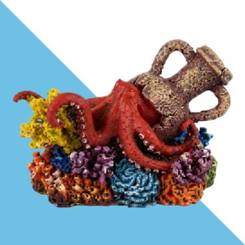 דקורציה לאקווריום כד ותמנון בריף 15.5/10.5/9.9 ס"מ