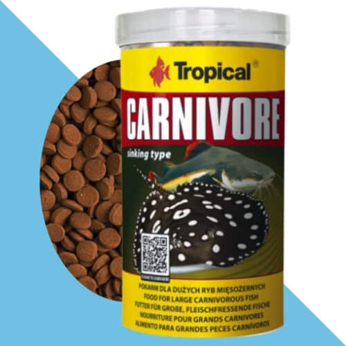 טרופיקל קרניבור כופתיות 1000 מ"ל TROPICAL (60736)