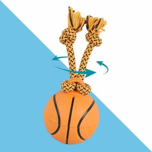 כדור כדורסל מסתובב ונטען לכלב קטן - AFP