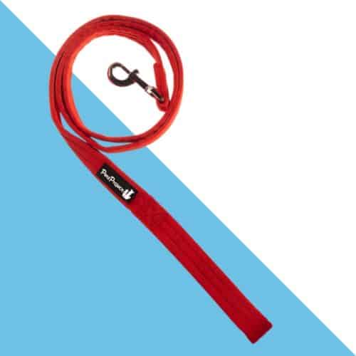 פטס פרוג'קט רצועה קומפורט רכה - אדום 1.6 מטר