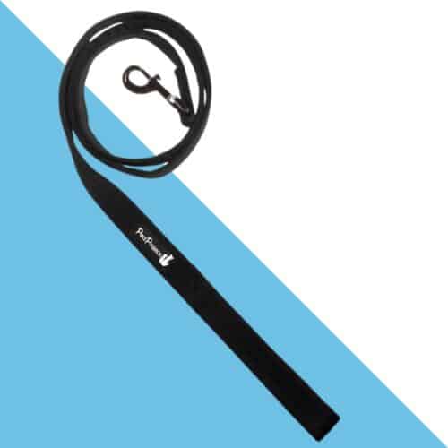 פטס פרוג'קט רצועה קומפורט רכה - שחור 1.6 מטר