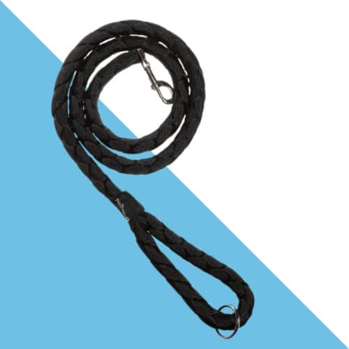 פטס פרוג'קט רצועה קלועה S - שחור 1.5 מטר