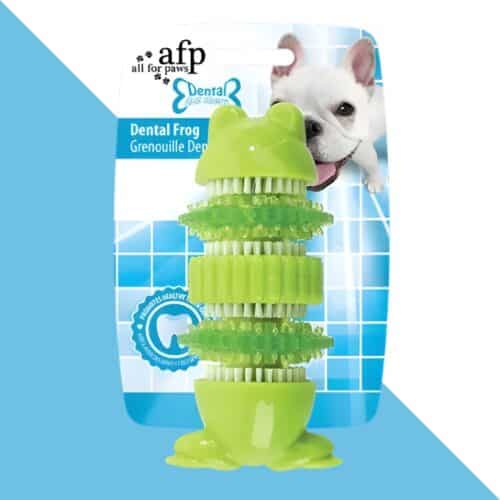 צעצוע עצם דנלטי בצורת צפרדע לכלב - AFP