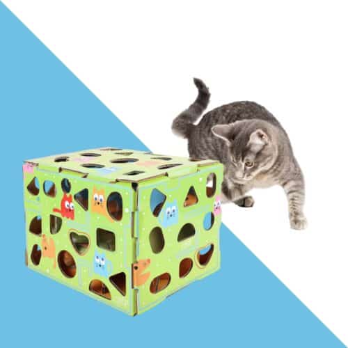 קופסת פאזל ומבוך חטיפים לחתול עם פרווה ירוק afp