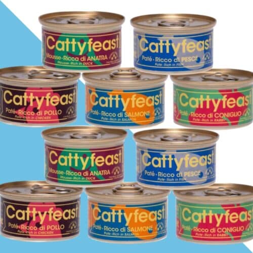 10 יחידות קטיפיסט פטה ומוס פרימיום לחתול 85 גרם מיקס טעמים Catty Feast
