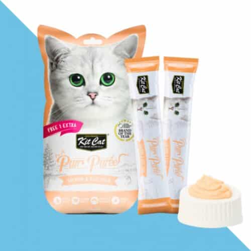 קיט קט שלוקים לחתול סלמון וחלמון ביצה 60 גרם Kit Cat