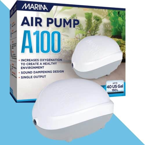 משאבת אוויר 100 עם יציאה אחת לאקוורים עד 150 ליטר MARINA
