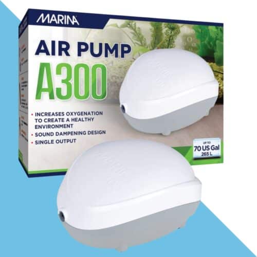 משאבת אוויר 300 עם יציאה אחת לאקוורים עד 265 ליטר MARINA
