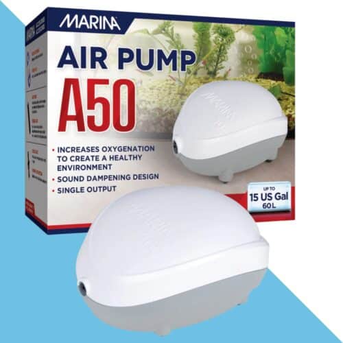 משאבת אוויר 50 עם יציאה אחת לאקוורים עד 60 ליטר MARINA