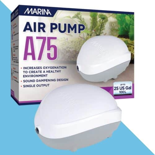 משאבת אוויר 75 עם יציאה אחת לאקוורים עד 100 ליטר MARINA