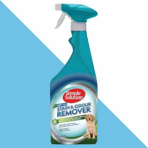 סימפל תרסיס מנקה כתמים וריחות לכלבים ניחוח יערות גשם 750 מ"ל Simple Solution